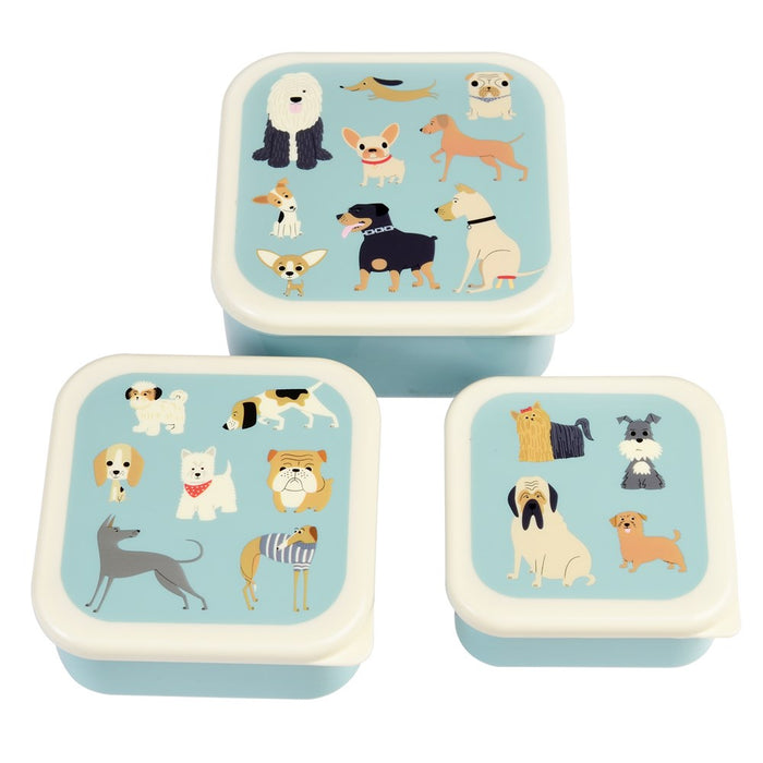 Set of 3 Best in Show Snack Boxes