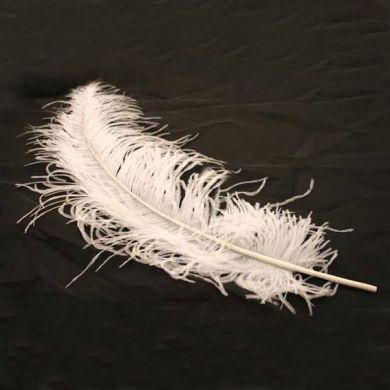White Ostrich Feather x 1