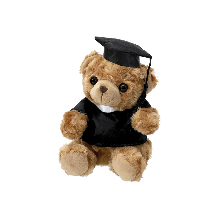 Graduation Teddy