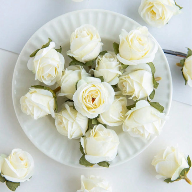 White Colour Rose Bud Flower Head