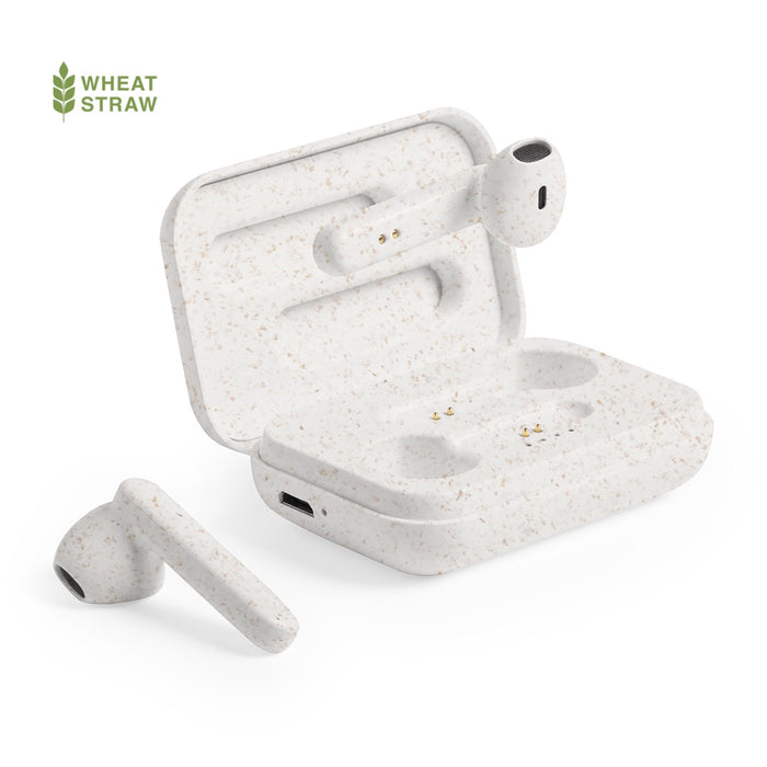 Earphones with Case