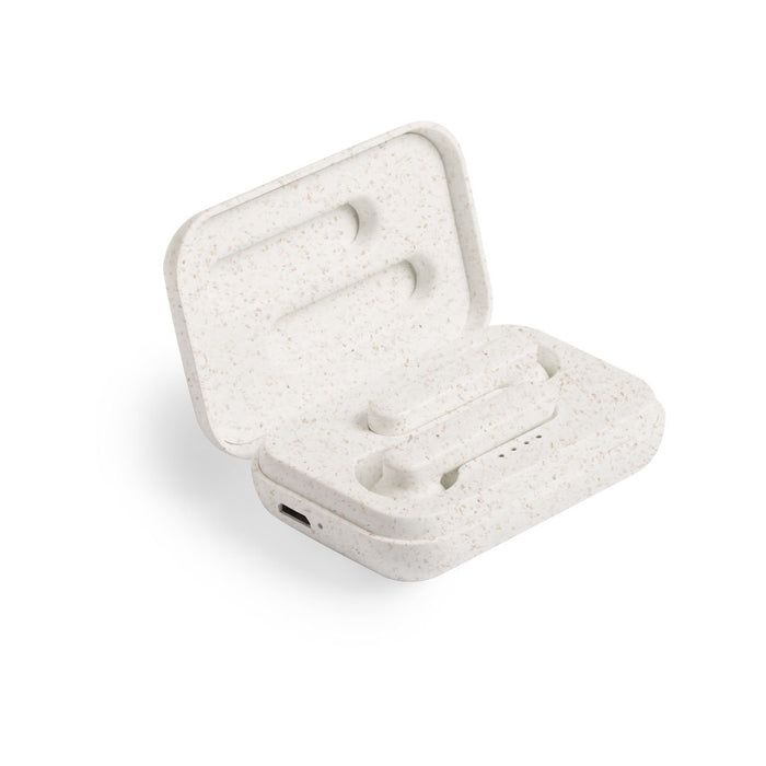 Earphones with Case