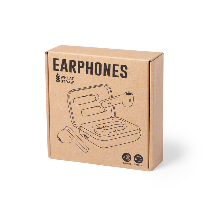 Earphones with Case