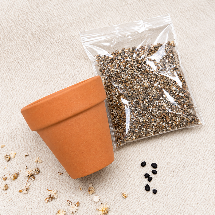 Terracotta Pot with Petunia Seeds - Confirmation Tag