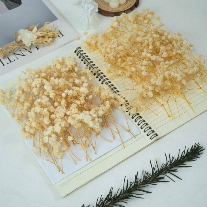 Mini Gypsophila Beige Bunch