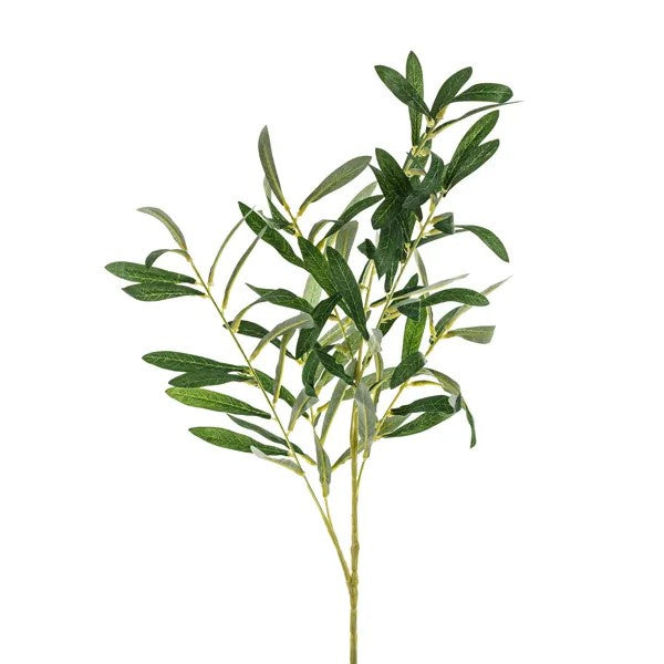 Olive branch, 91 cm
