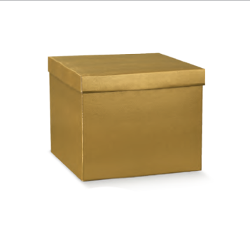 Gift Box with Lid - Gold - Snake Skin Effect