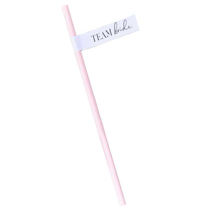 Team Bride Hen Party Paper Straws