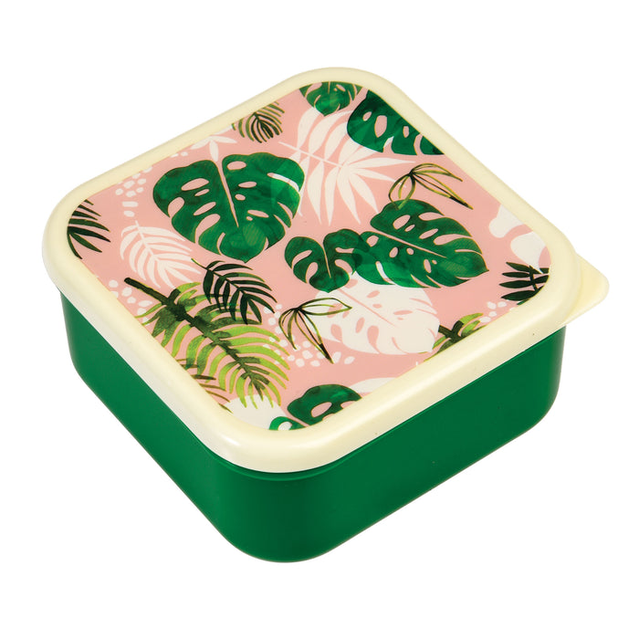 Tropical Palm - Snack Boxes - Set Of 3