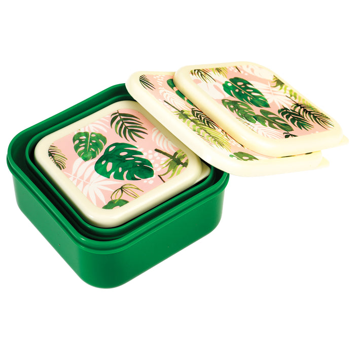 Tropical Palm - Snack Boxes - Set Of 3