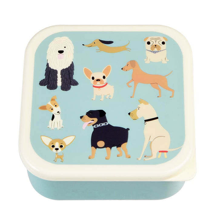 Set of 3 Best in Show Snack Boxes
