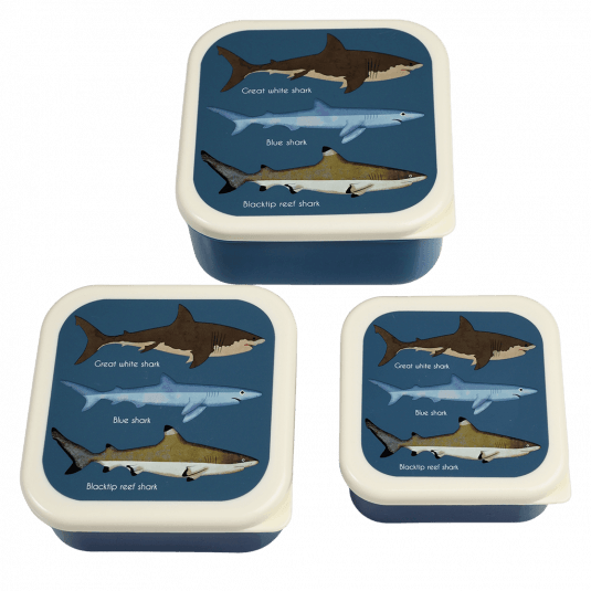 Sharks Snack Boxes (set Of 3)