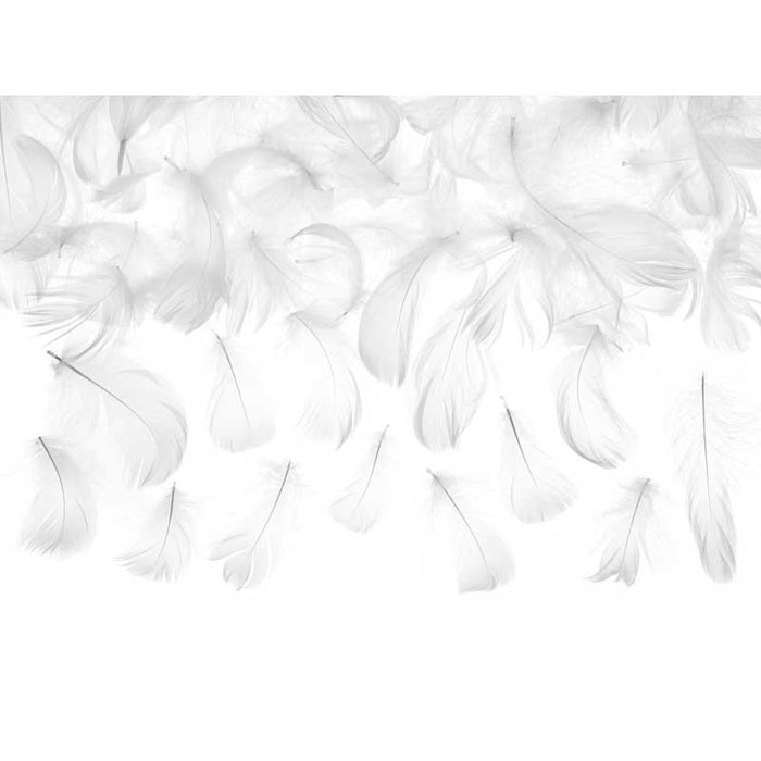 Decorative feathers, white, 3g