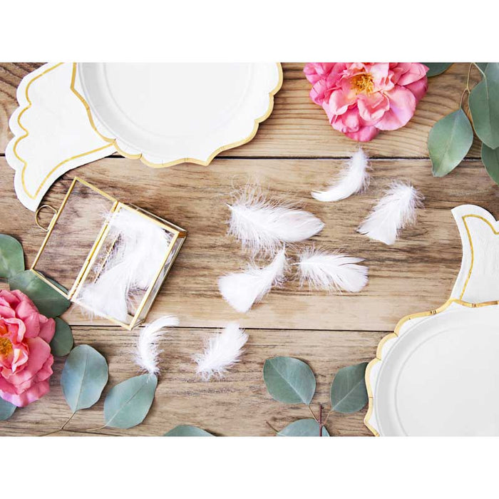 Decorative feathers, white, 3g