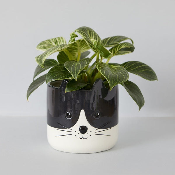 Flower Pot Kitty black/white