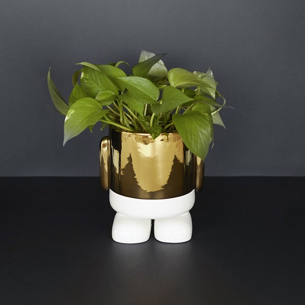 Flower Pot Mr.Standy Gold Edition golden