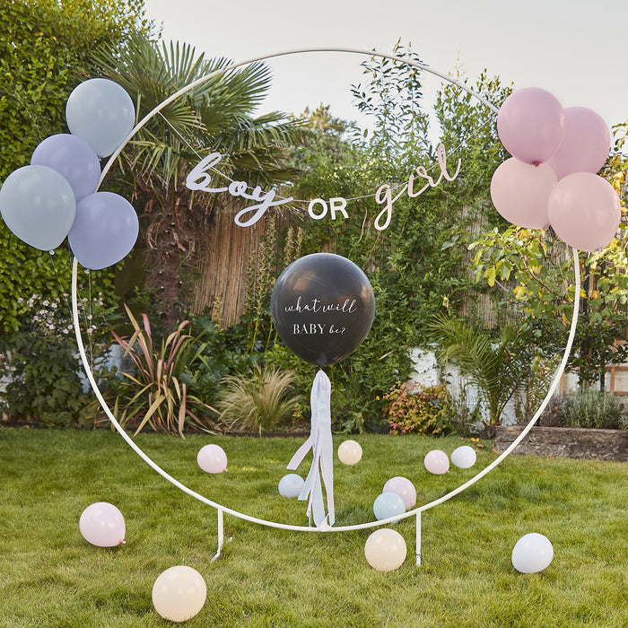 What Will Baby Be Gender Reveal Balloon Kit