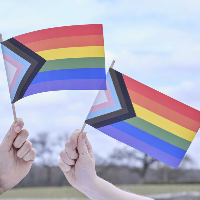 Handheld Pride Flag