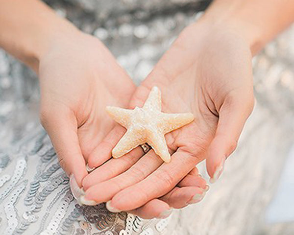 Miniature Starfish Candle In Gift Packaging Favor